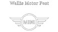 wallis-motor-pest-300x168.png