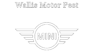 Wallis Motor