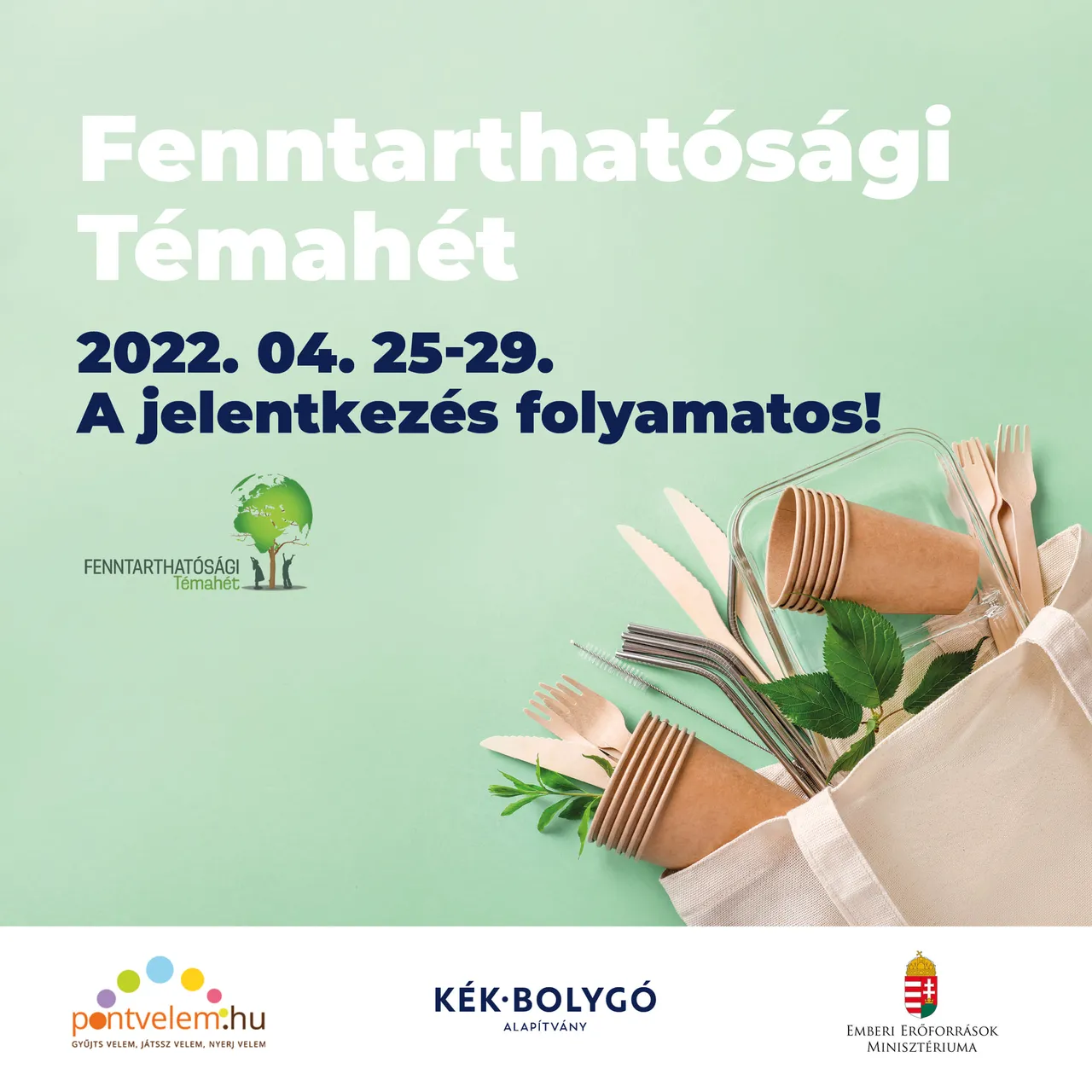 Formula Student — Egyetemi programsorozat